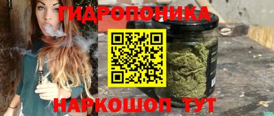 стаф Кандалакша